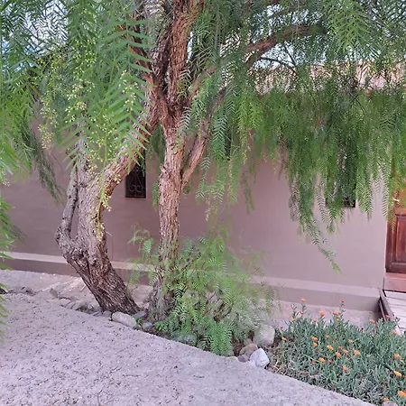 Casa En Tilcara Con Hermosa Vista Al Pucara Exterior photo